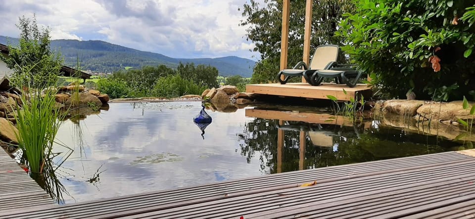 Garden, Swimming pool