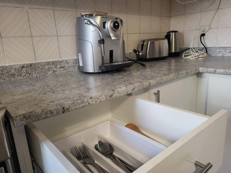 Cozy 2BR in VieuxLongueuil +parking 14min Downtown Apartment in Boucherville