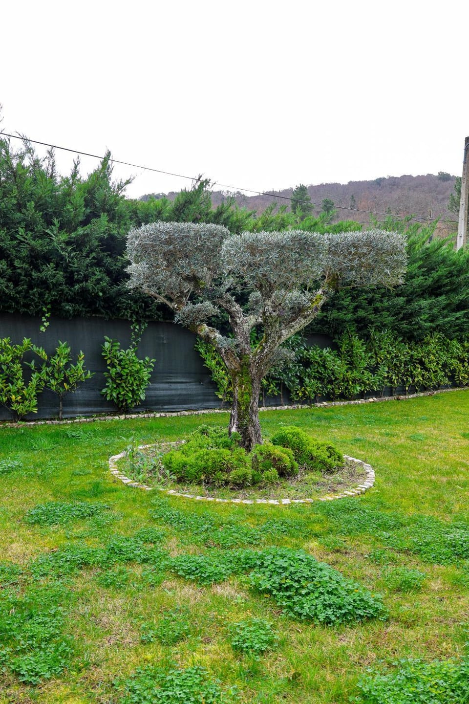 Casa do Olival Bed and Breakfast in Castile and León