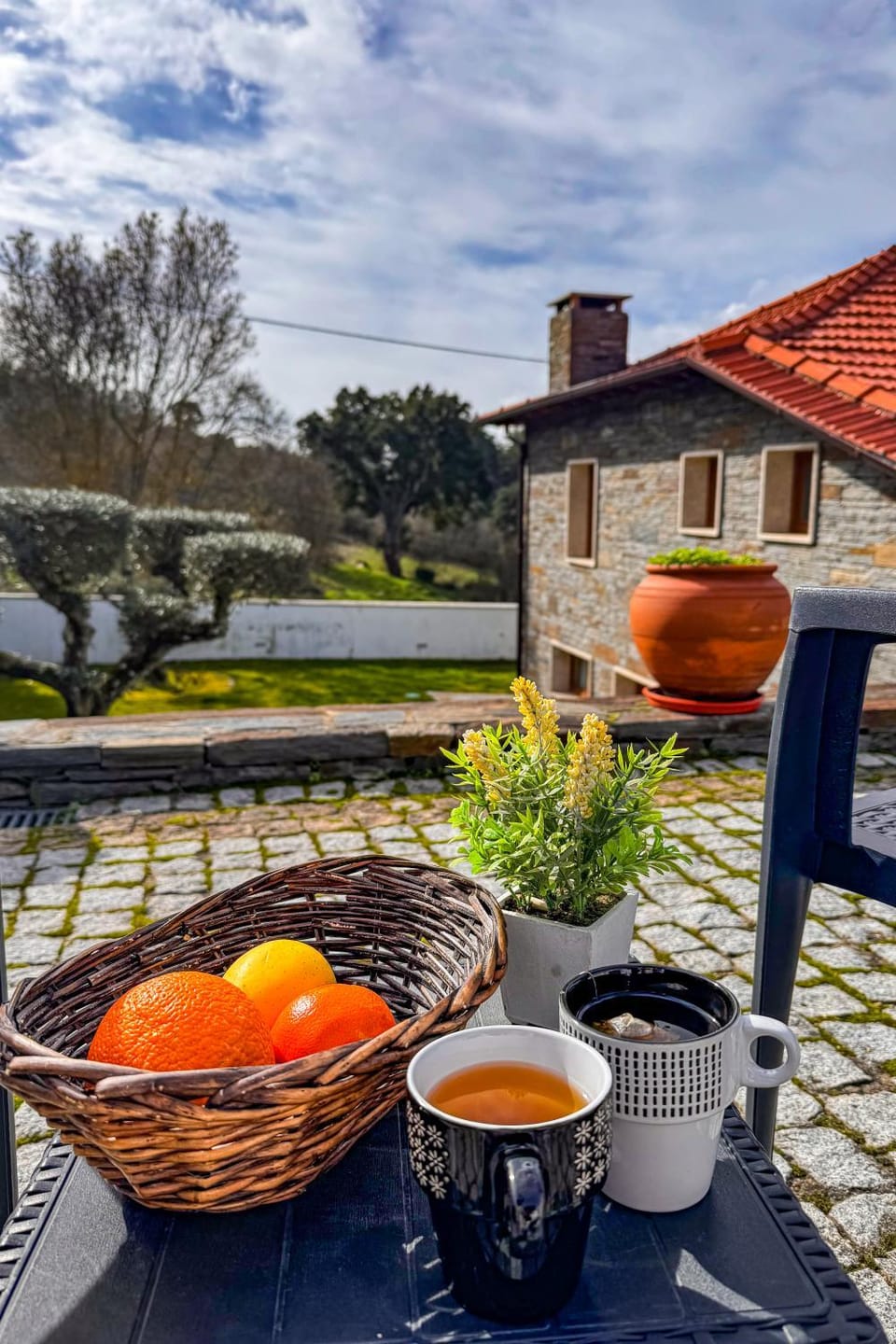 Casa do Olival Bed and Breakfast in Castile and León