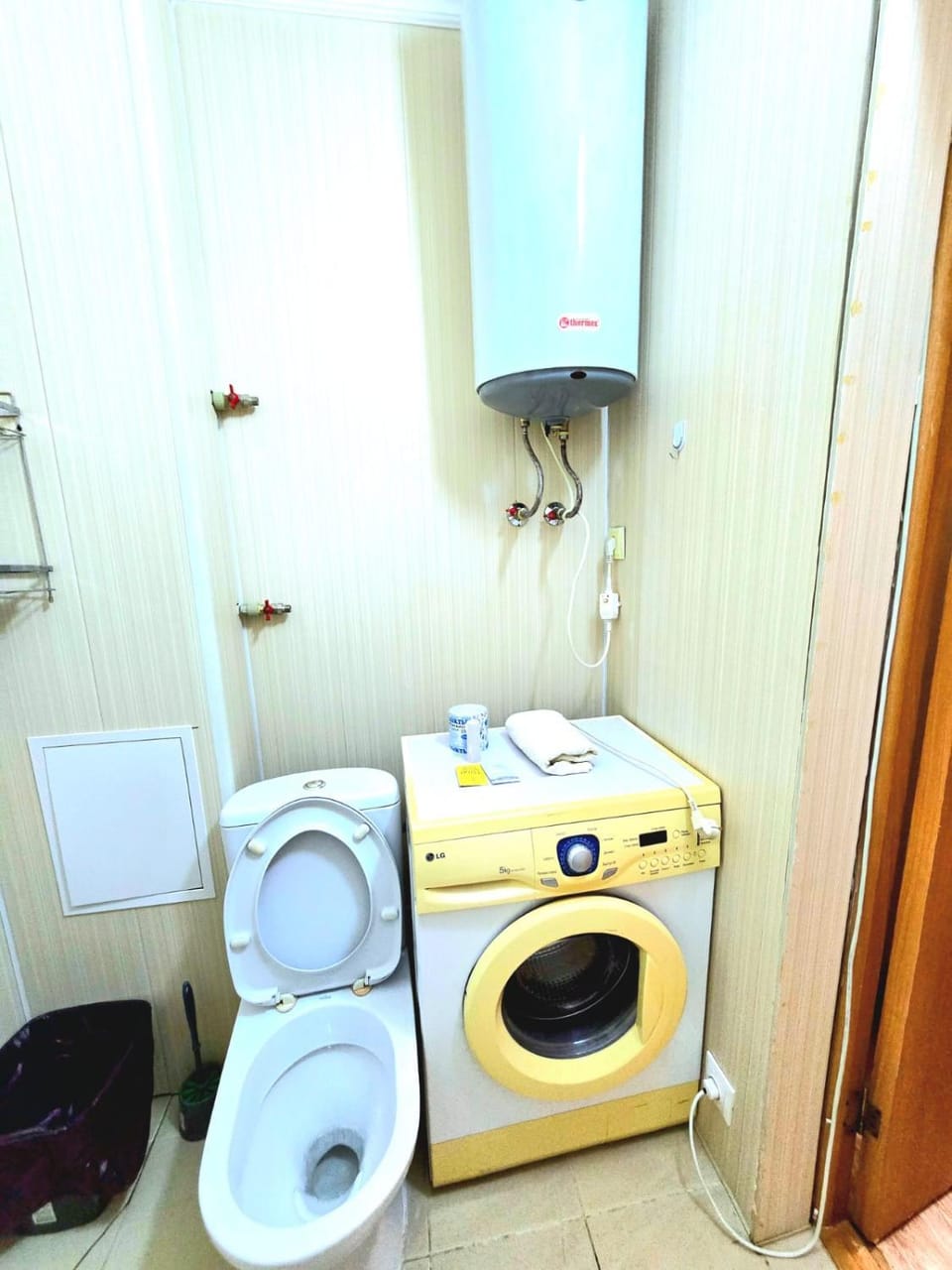 Toilet, Bathroom, washing machine