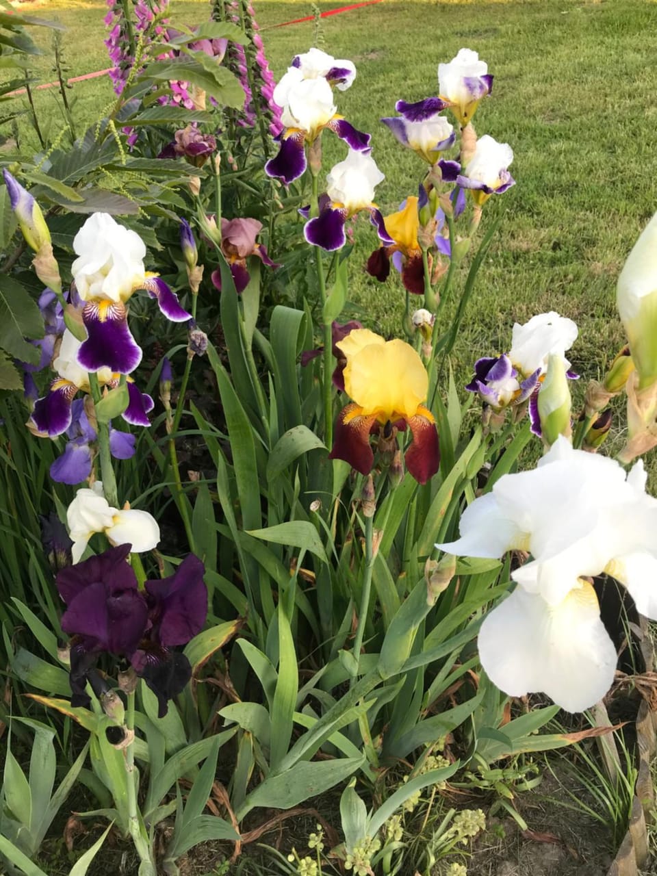 Agroturystyka na Górce Farm Stay in Pomeranian Voivodeship