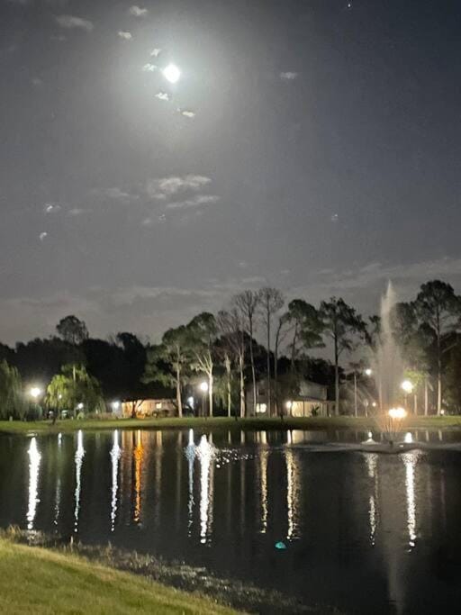 Night, Lake view