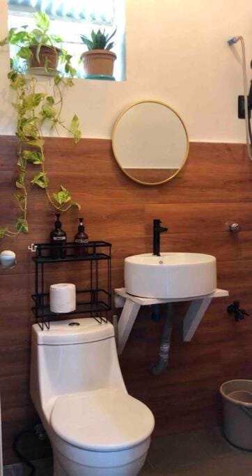 Toilet, Bathroom
