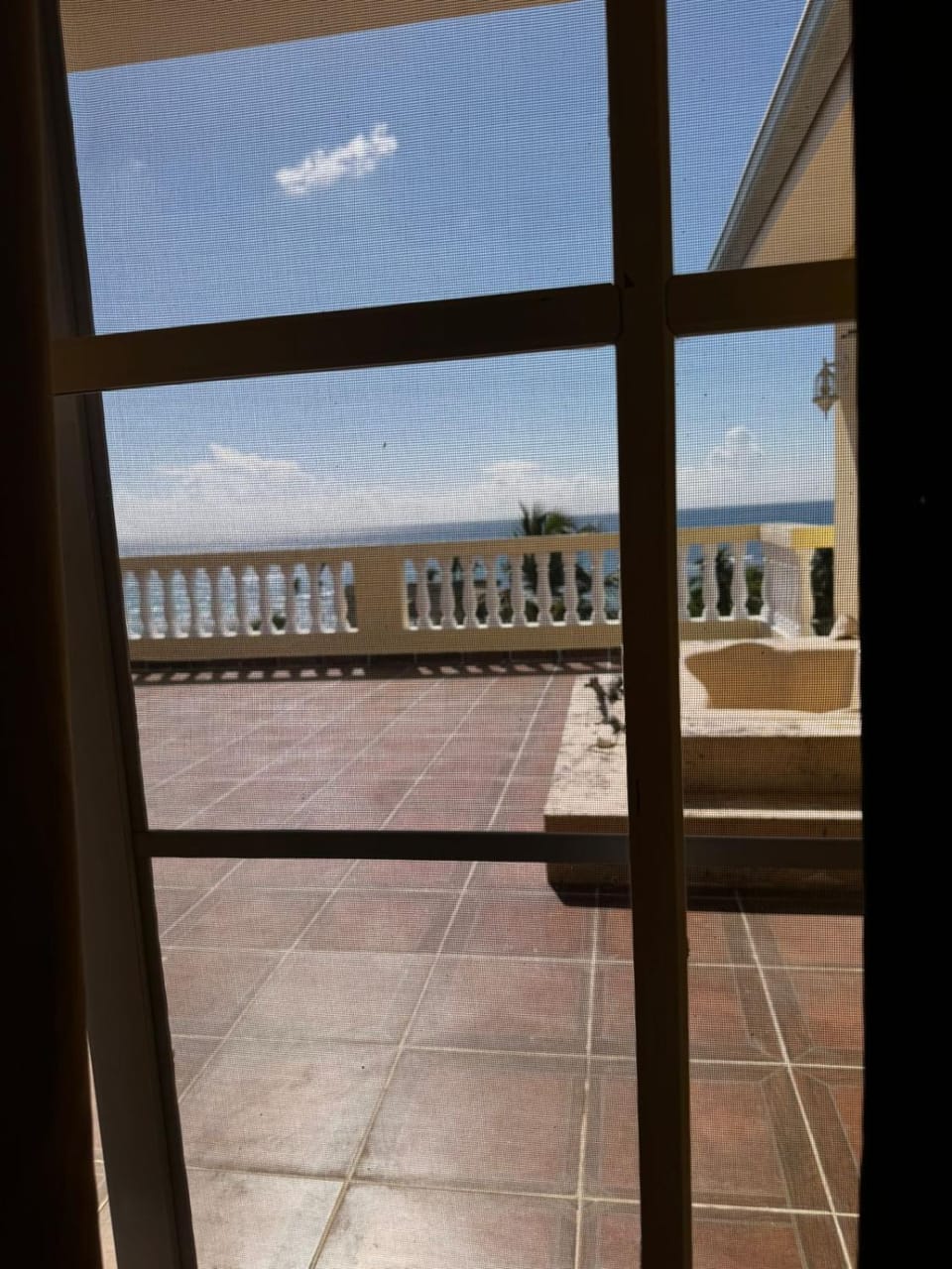 Las Palmeras by Graziano Resort in Boca Chica