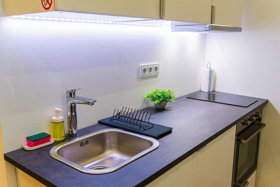 Kitchen or kitchenette, dishwasher, stove
