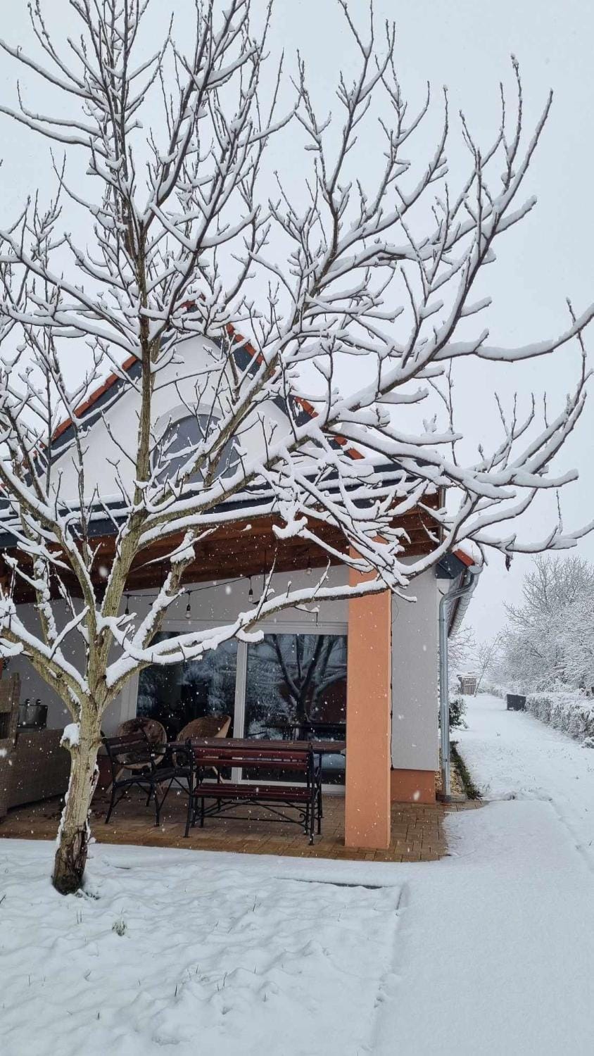 Natural landscape, Winter