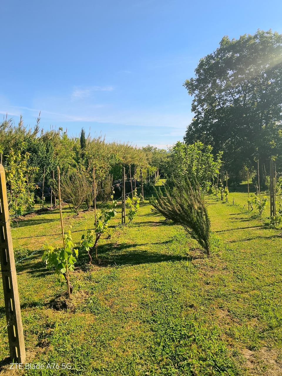 Villa Anna House in Sarzana