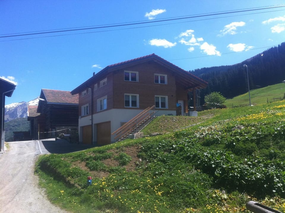 Property building, Spring, Day, On site