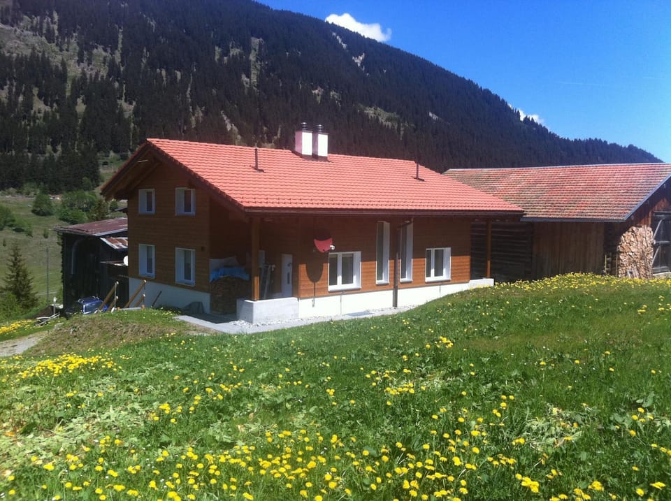 Property building, Spring, Day, On site