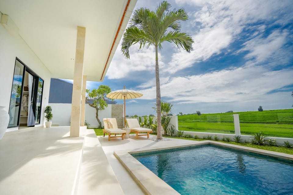 Day, Garden, Garden view, Pool view, Swimming pool, Swimming pool, Time of day, sunbed, sunbed