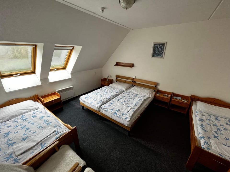 Hotel Figura Hotel in Czechia