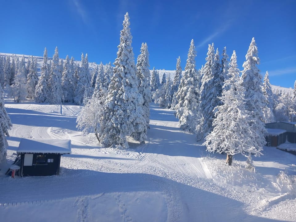 Skiing