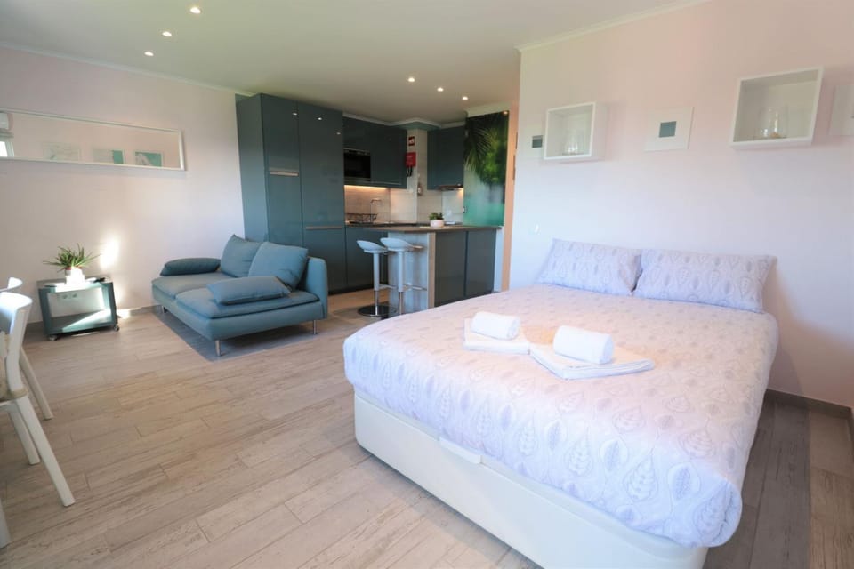 Bed, TV and multimedia, Kitchen or kitchenette, Living room, Photo of the whole room, Seating area, Bedroom, minibar, towels