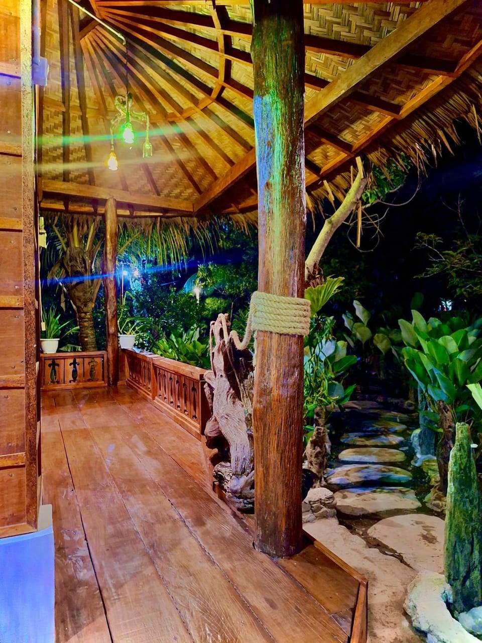 Night, Garden, Garden view