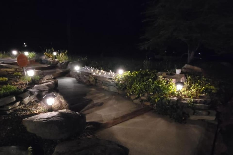 Night, Natural landscape, Decorative detail, Garden view