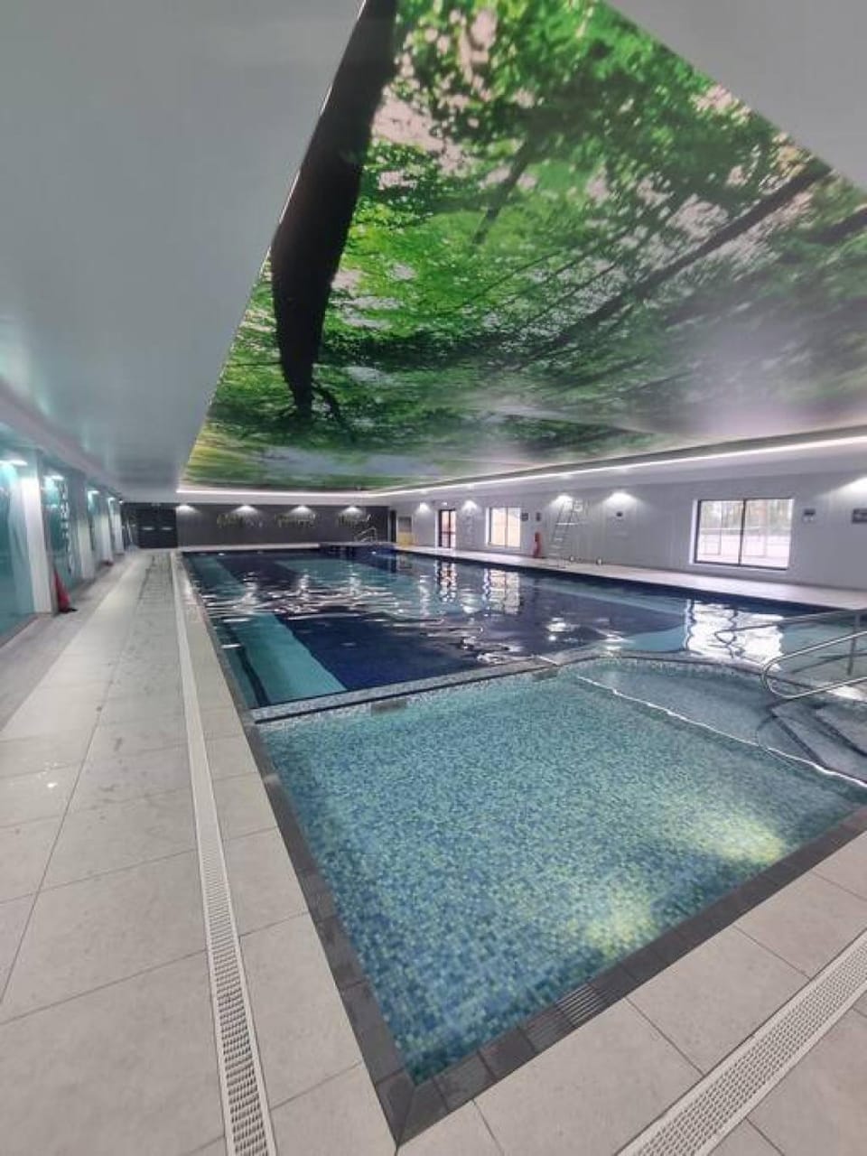 Swimming pool, Swimming pool