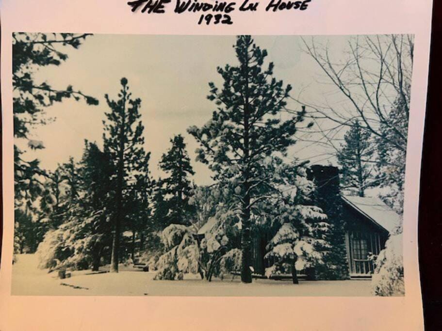 Family-Friendly Hilltop Retreat | Pet-Friendly Yard, Gardens, Gazebo, Chef’s Kitchen Hot Tub House in Big Bear