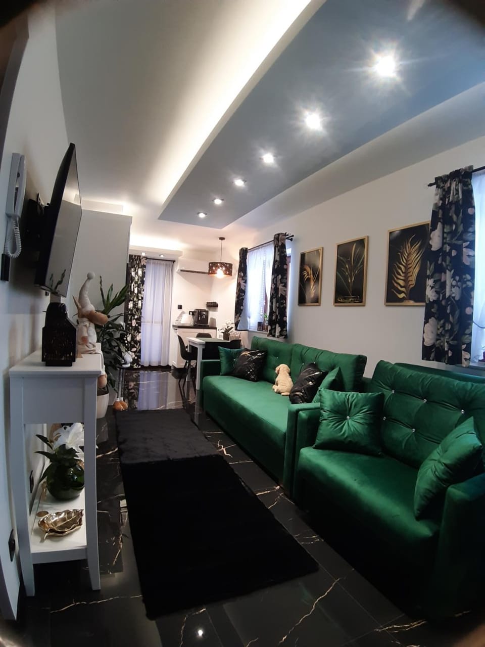 Living room, Photo of the whole room, fireplace, internet, air conditioner