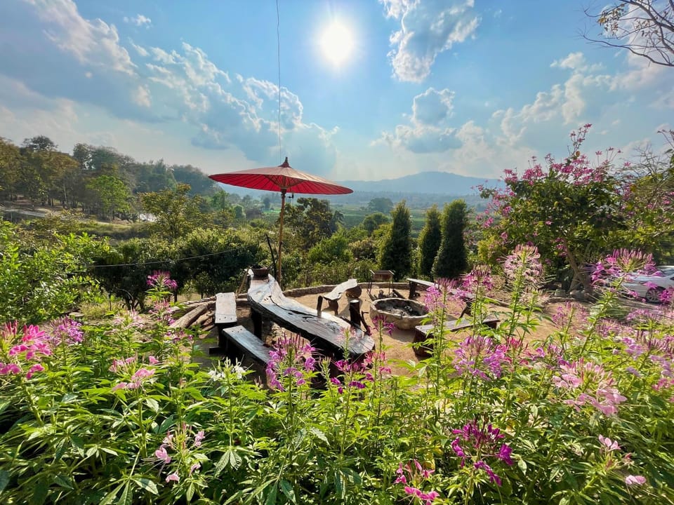 Garden, Garden view, fireplace