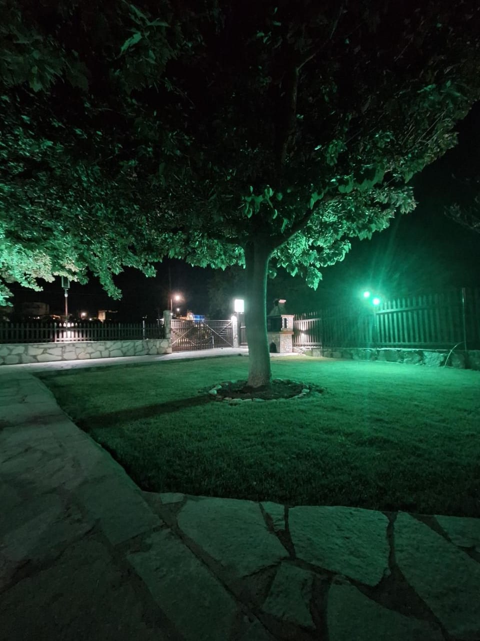 Night, Garden
