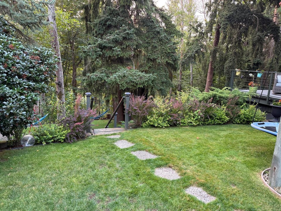 Day, Natural landscape, Garden, Garden view