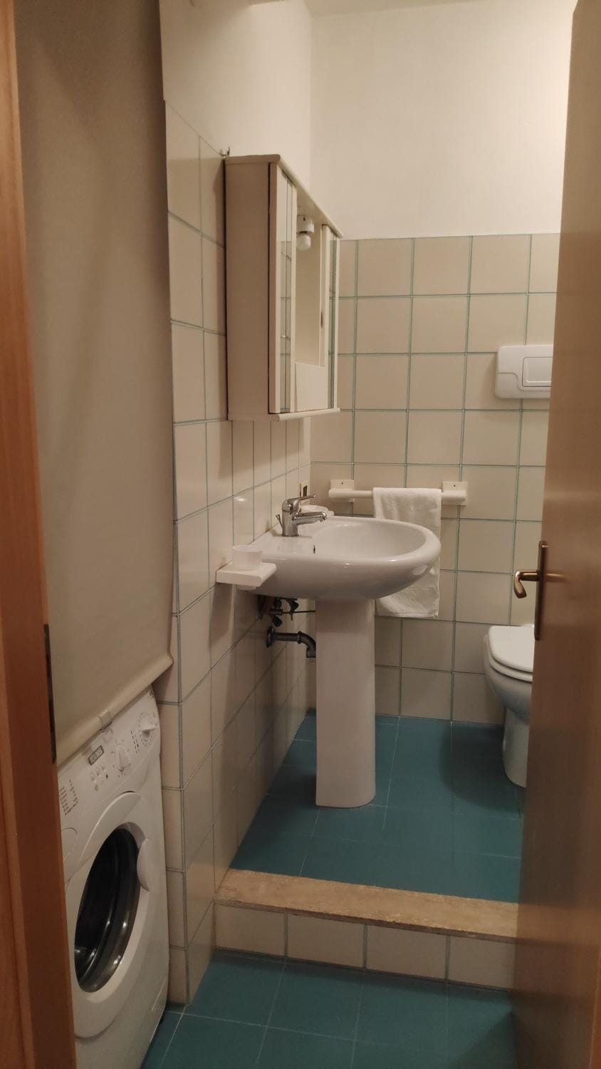 Toilet, Bathroom, bidet, towels, washing machine