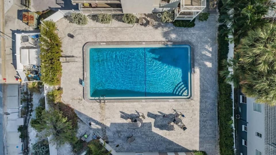 Fins Up in Clearwater Beach House in Clearwater Beach