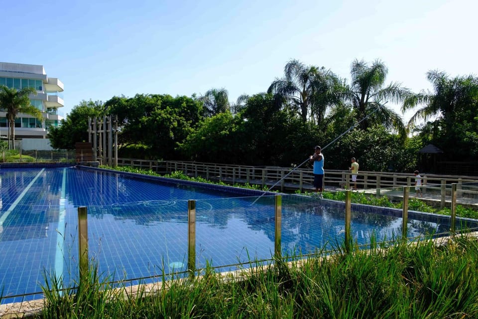 Swimming pool, Swimming pool