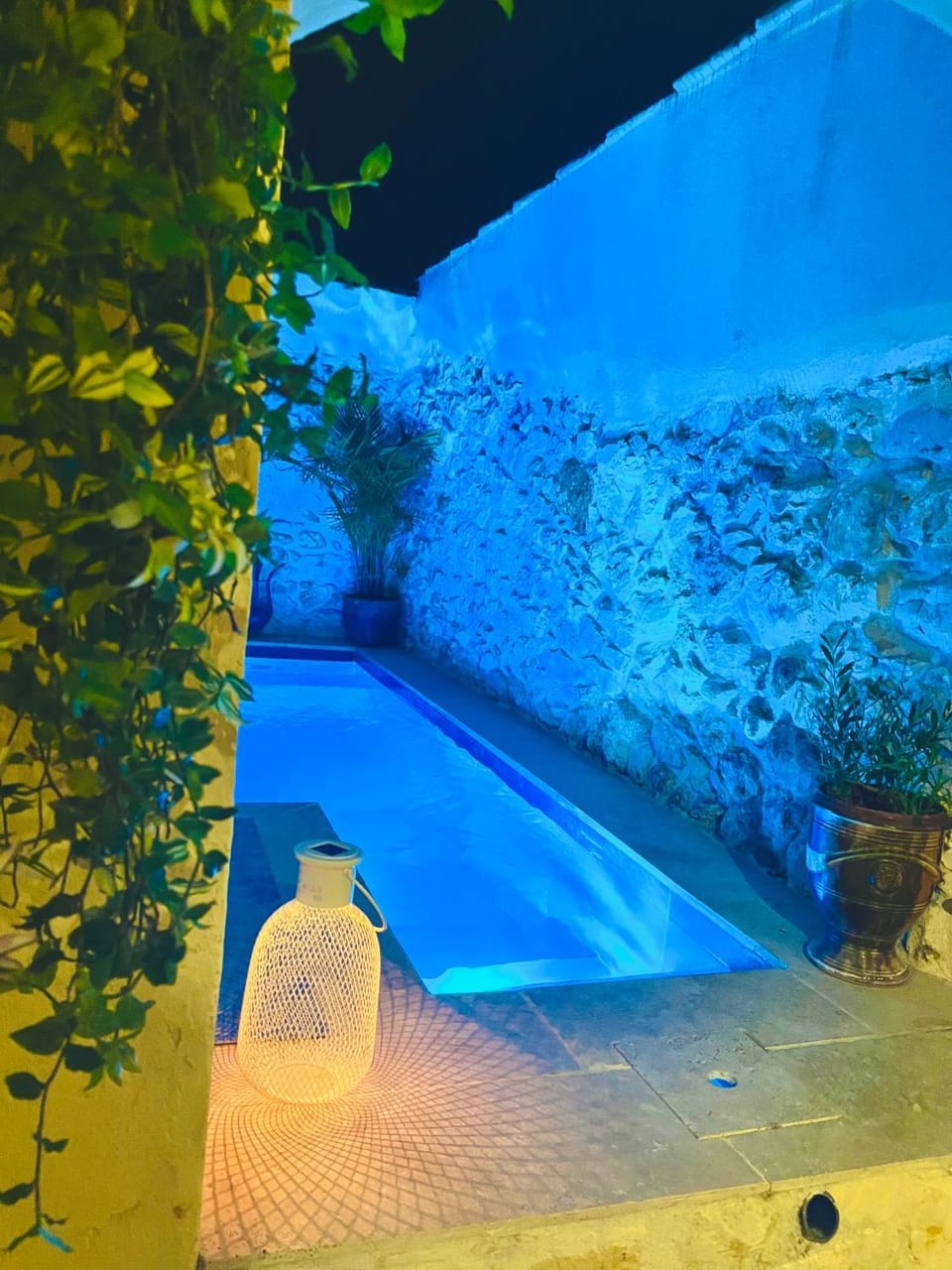 La maison du Bougainvillier 10 personnes Villa in Provence-Alpes-Côte d'Azur