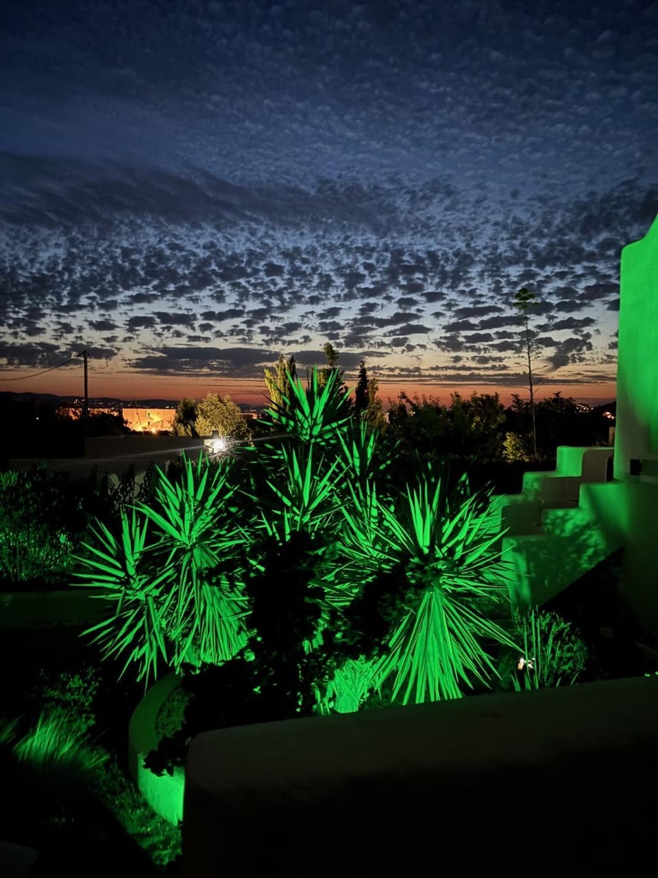 Night, Garden view