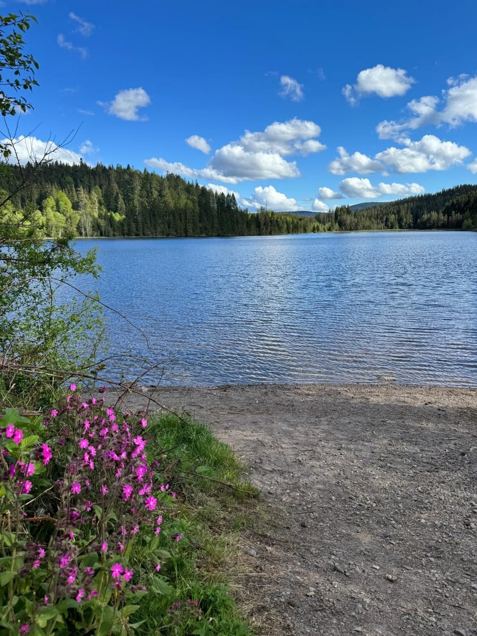Nearby landmark, Spring, Natural landscape, Beach, Lake view, Mountain view
