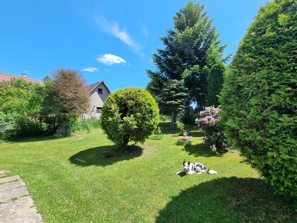 Ubytování u Boženky Apartment in Lower Silesian Voivodeship