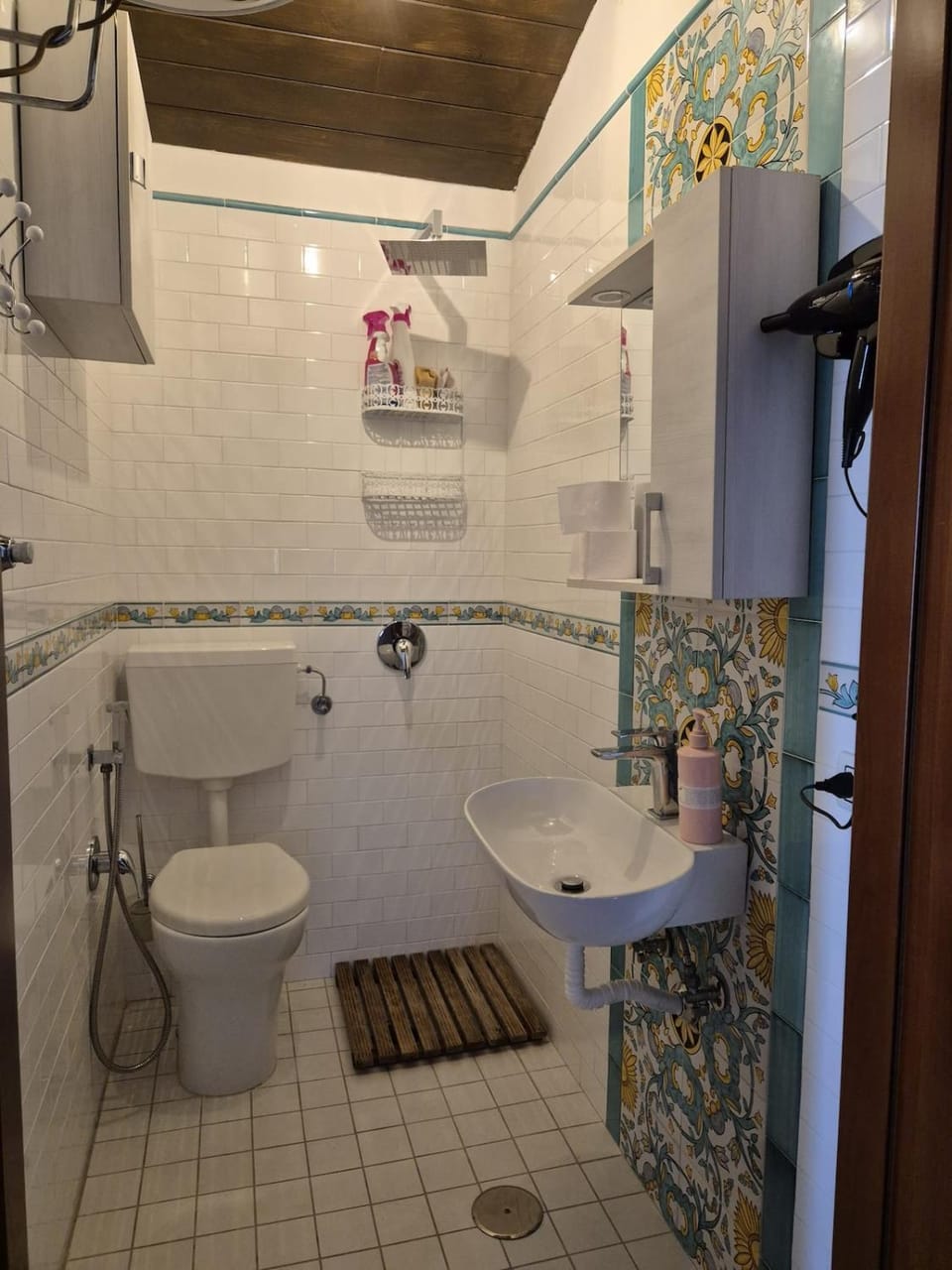 Shower, Toilet
