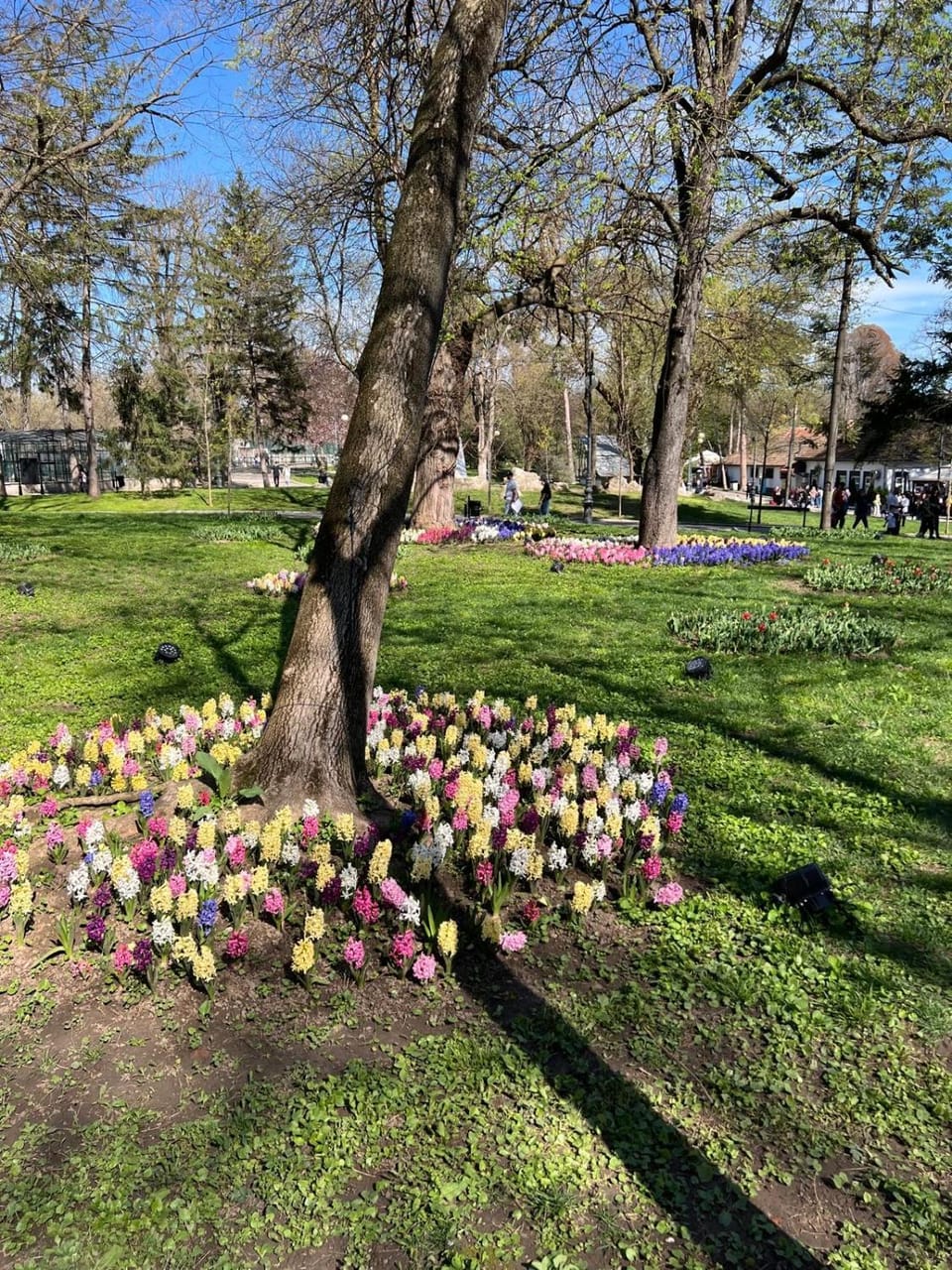 Mircea Vodă Residence Villa in Craiova
