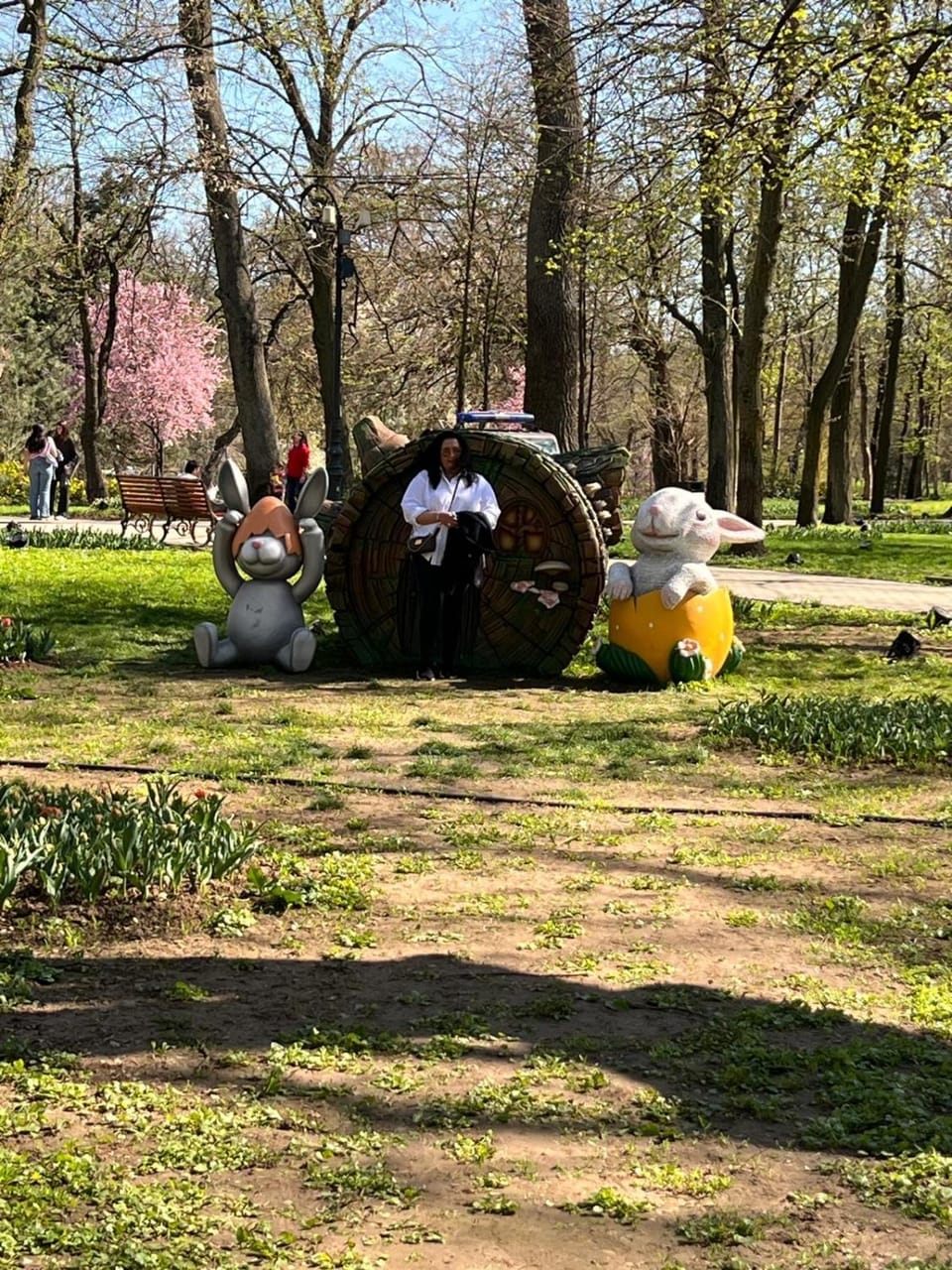 Mircea Vodă Residence Villa in Craiova