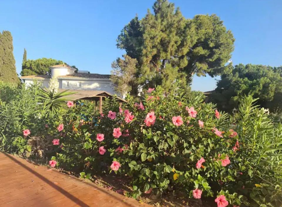 Almendralejo de Jarales Apartment in Sitio de Calahonda