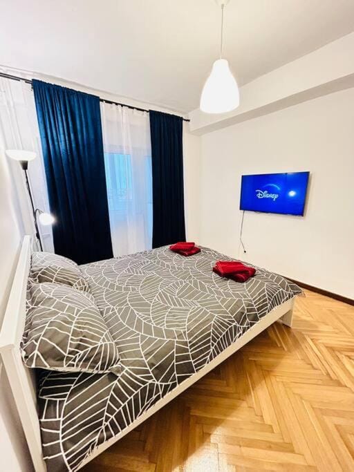 Cosy apartment #12lunipebega Apartment in Timisoara