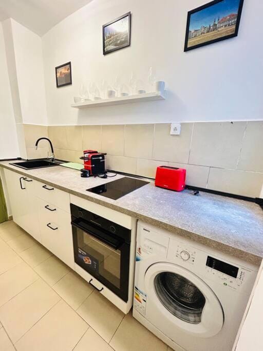 Cosy apartment #12lunipebega Apartment in Timisoara