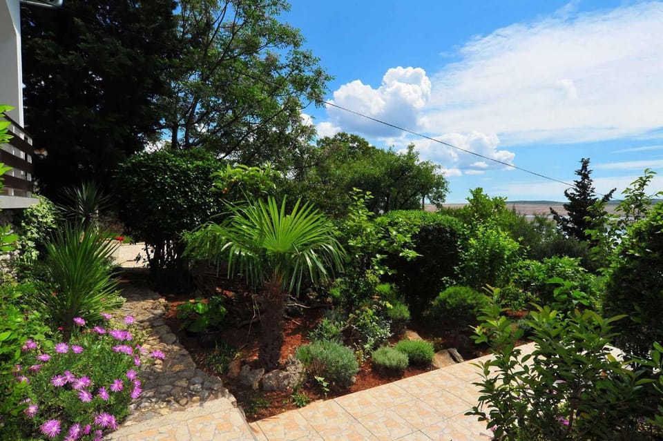 Summer, Garden