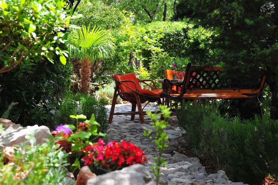 Summer, Garden