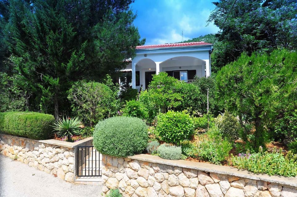 Property building, Summer