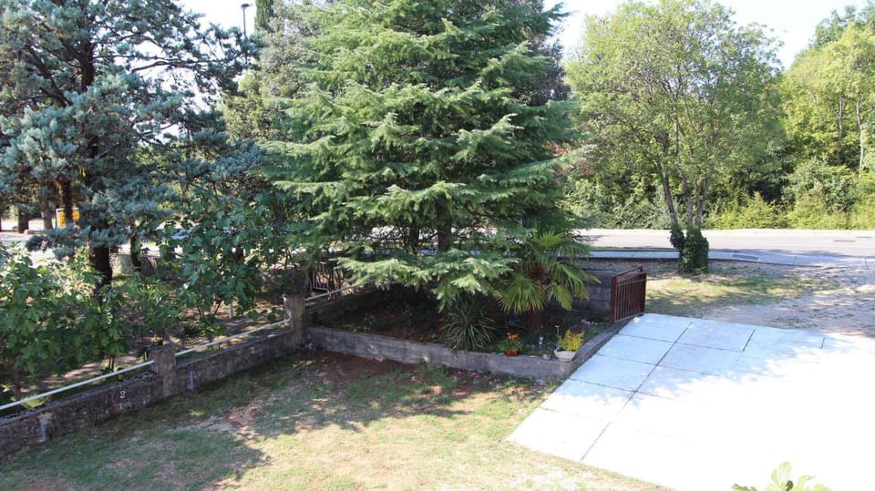 Summer, Garden