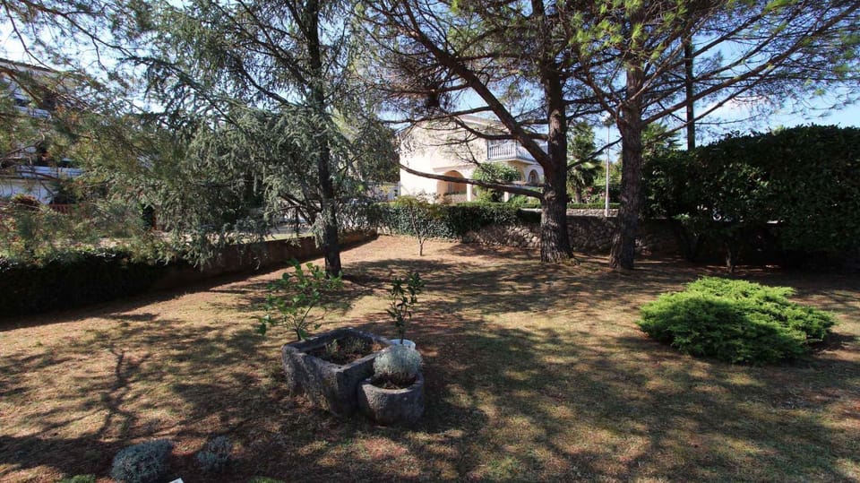 Property building, Summer, Garden