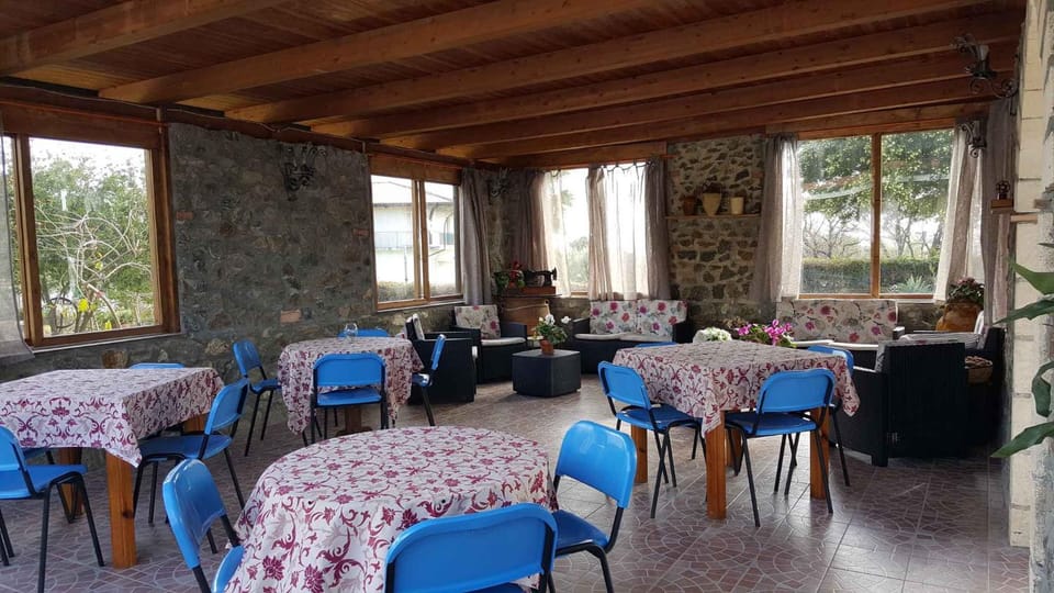 Restaurant/places to eat, Summer, Dining area
