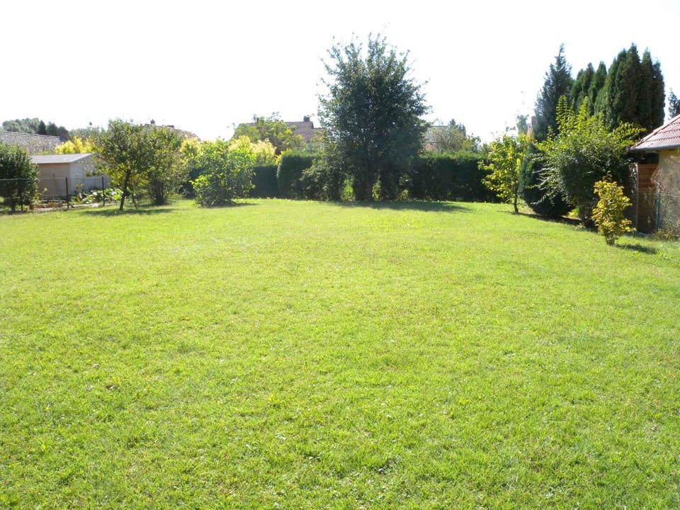 Summer, Garden