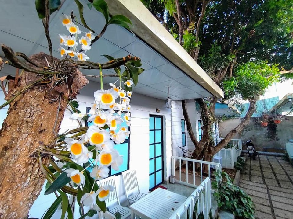 Balcony/Terrace, Balcony/Terrace