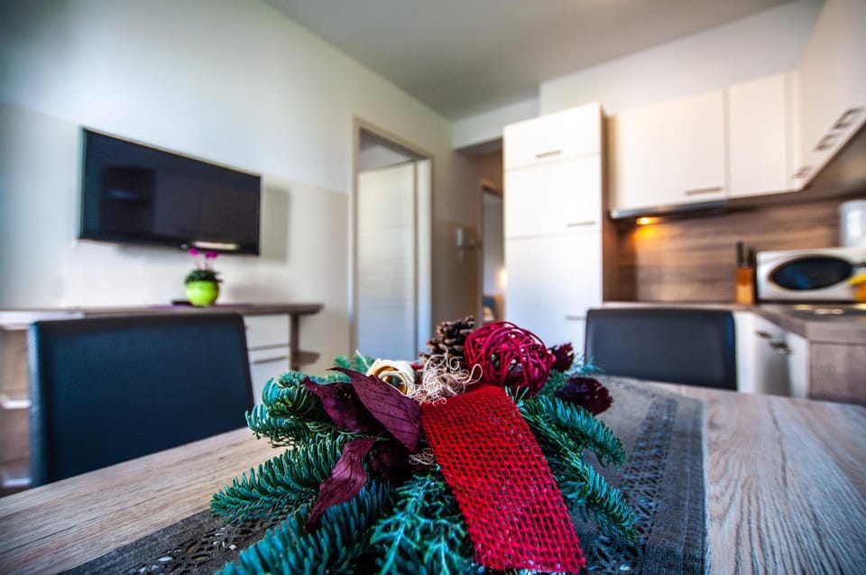 TV and multimedia, Kitchen or kitchenette, Decorative detail, minibar, pet friendly