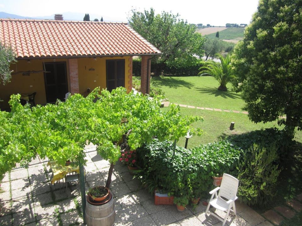 Garden view