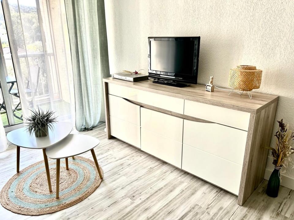 TV and multimedia